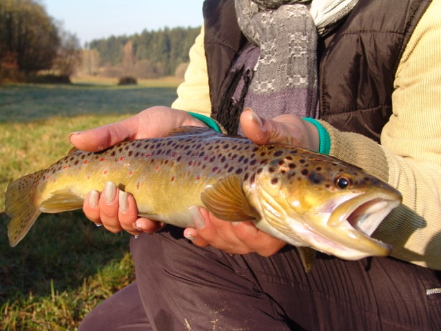 Pstruhová sezóna je tu! 🐟