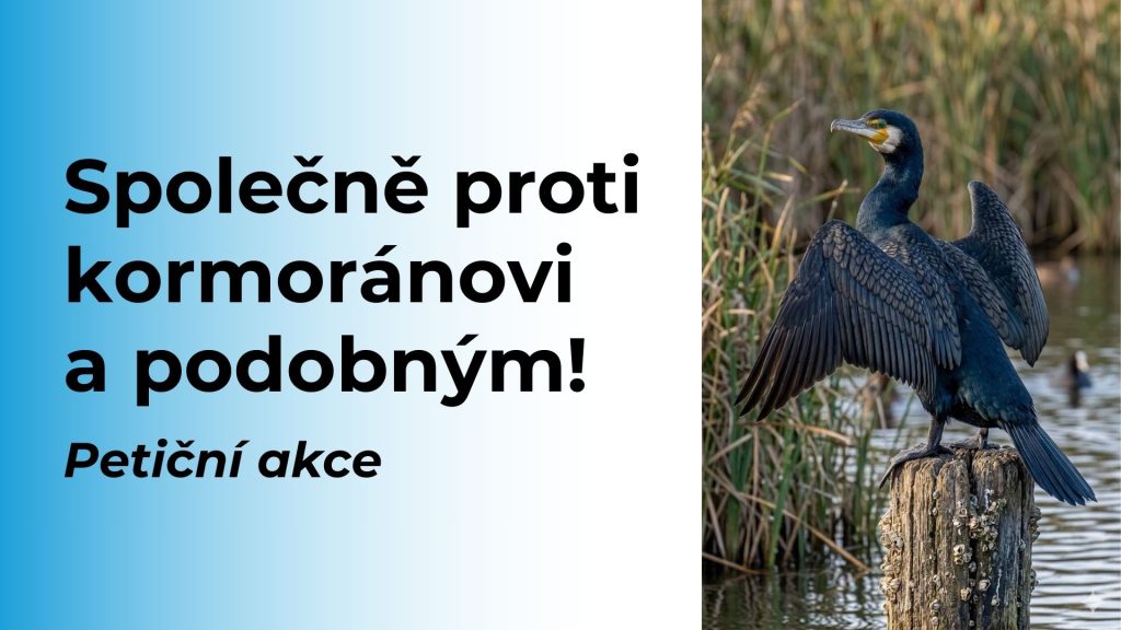 Společně proti kormoránovi a podobným!