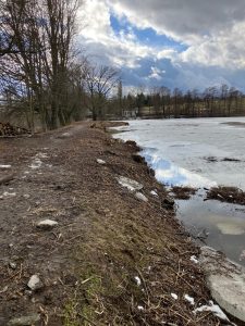 Co se děje na Bránském rybníku?